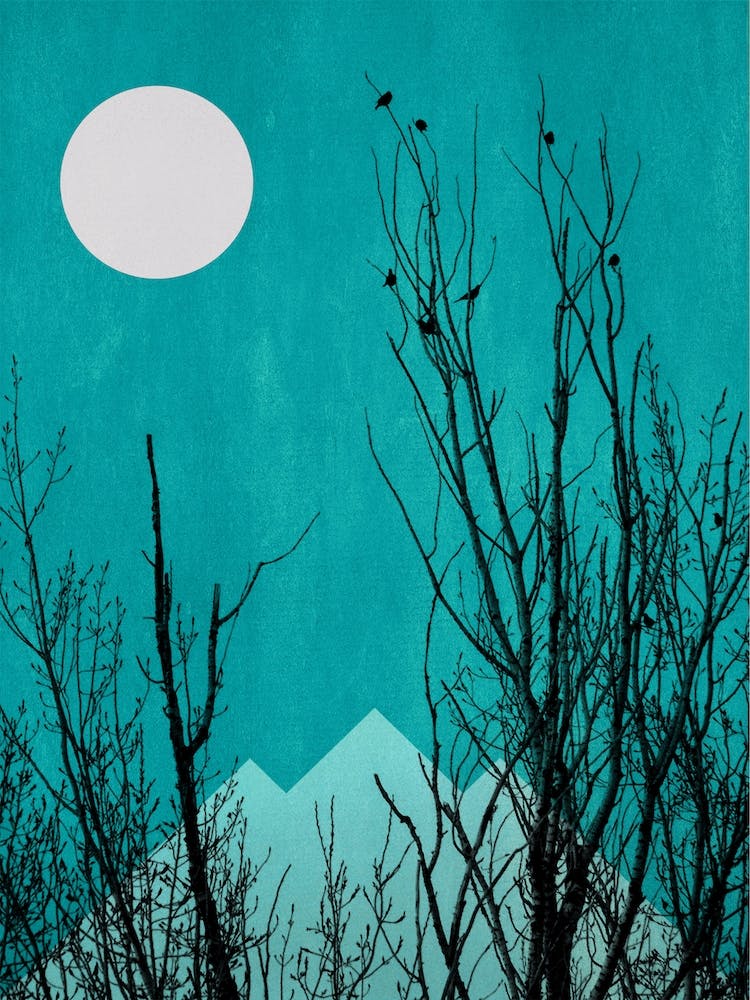 Black Forrest