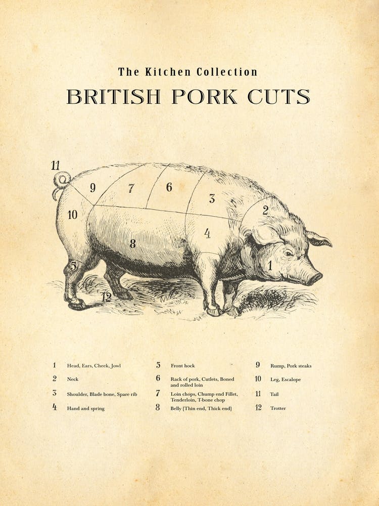 British Pork Cuts Butcher Chart