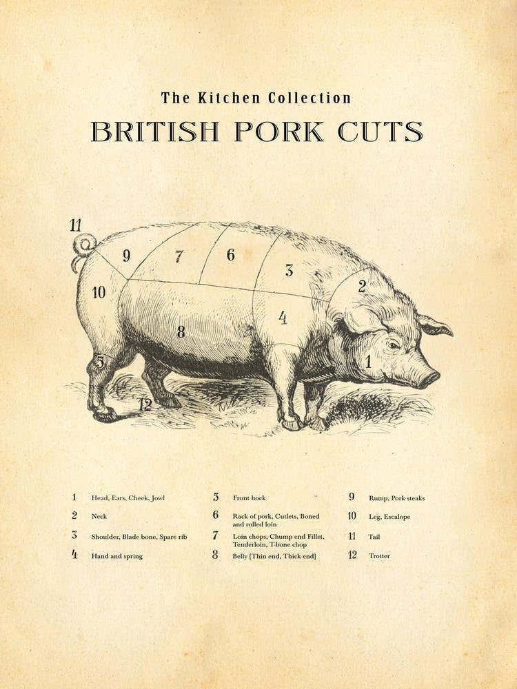 British Pork Cuts Butcher Chart