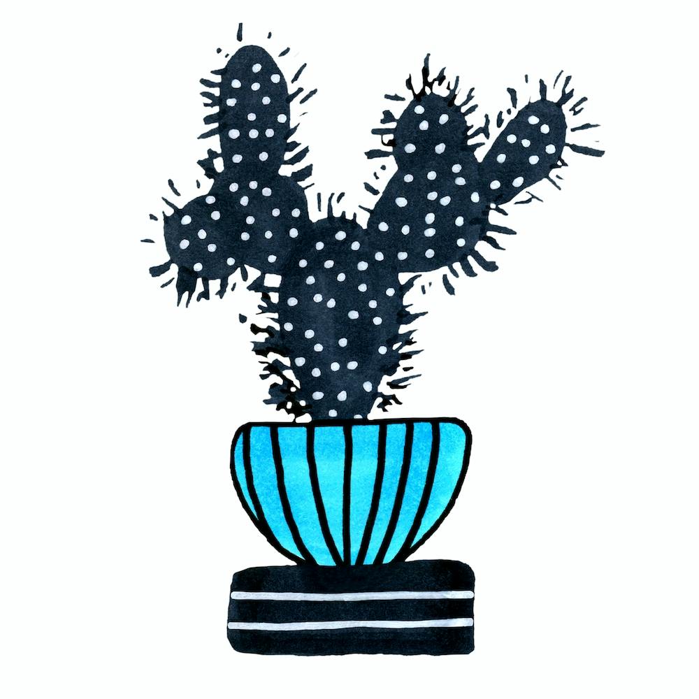 Kaktus 1 Wüstenpflanze Blau Schwarz