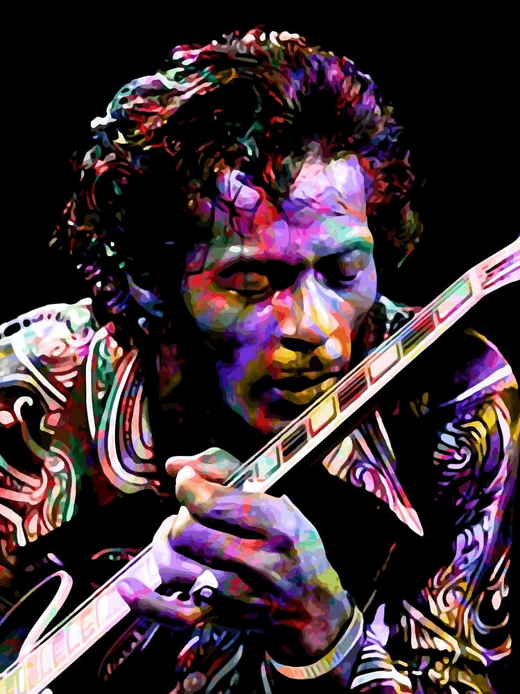 Chuck Berry Colorful my style
