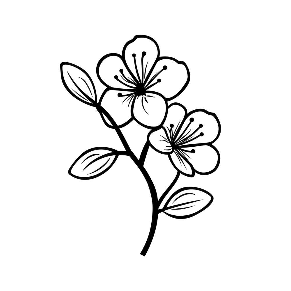 Cherry Blossom March Birth Month Flower