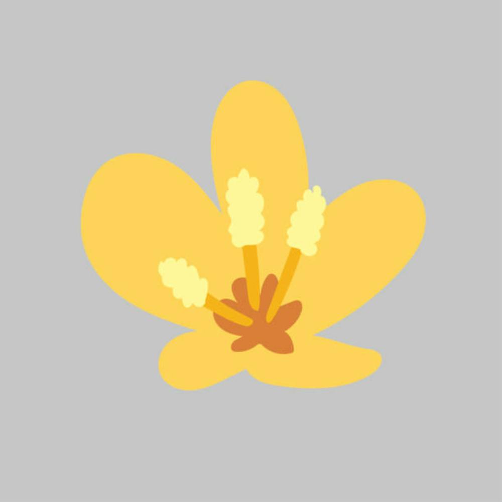Yellow Flower
