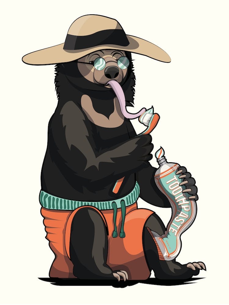 Sun Bear Cleaning Teeth