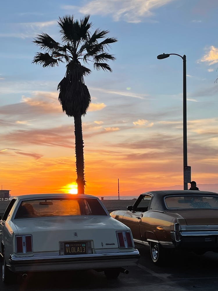 Venice Beach Sunset Vibe