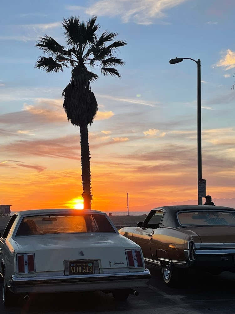 Venice Beach Sunset Vibe