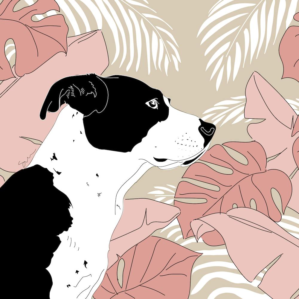 Jungle Dog