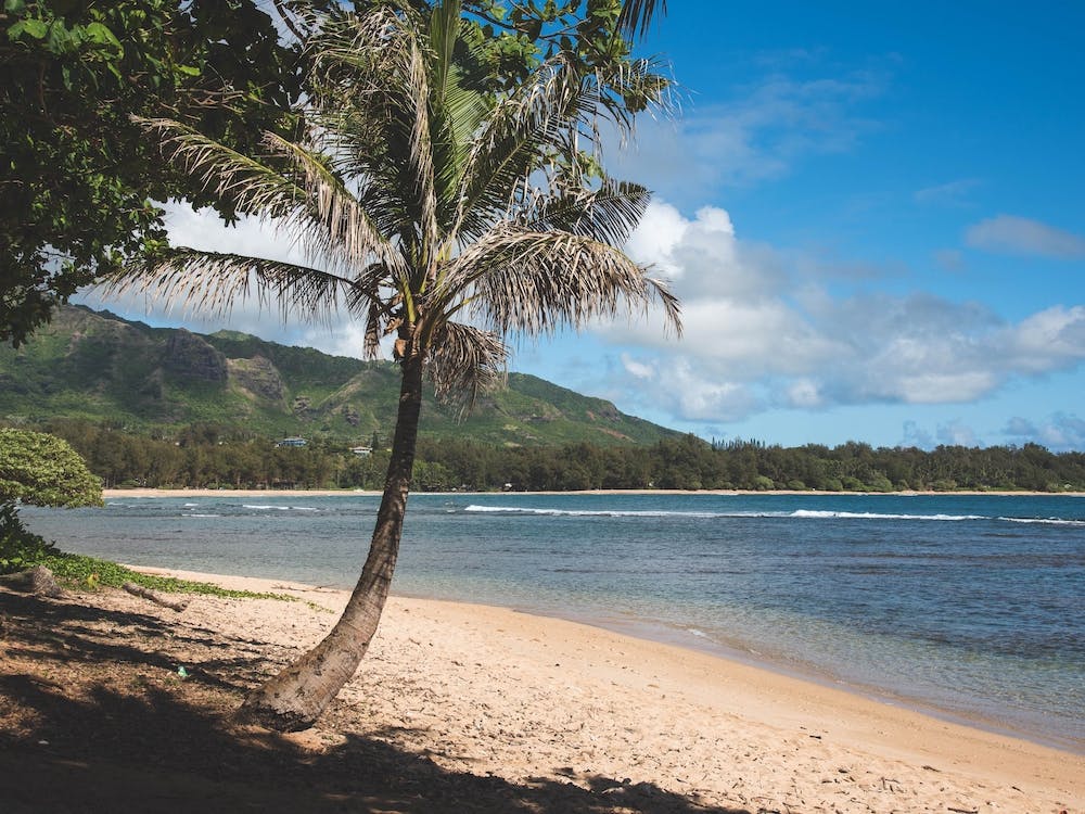 Hawaii Beach