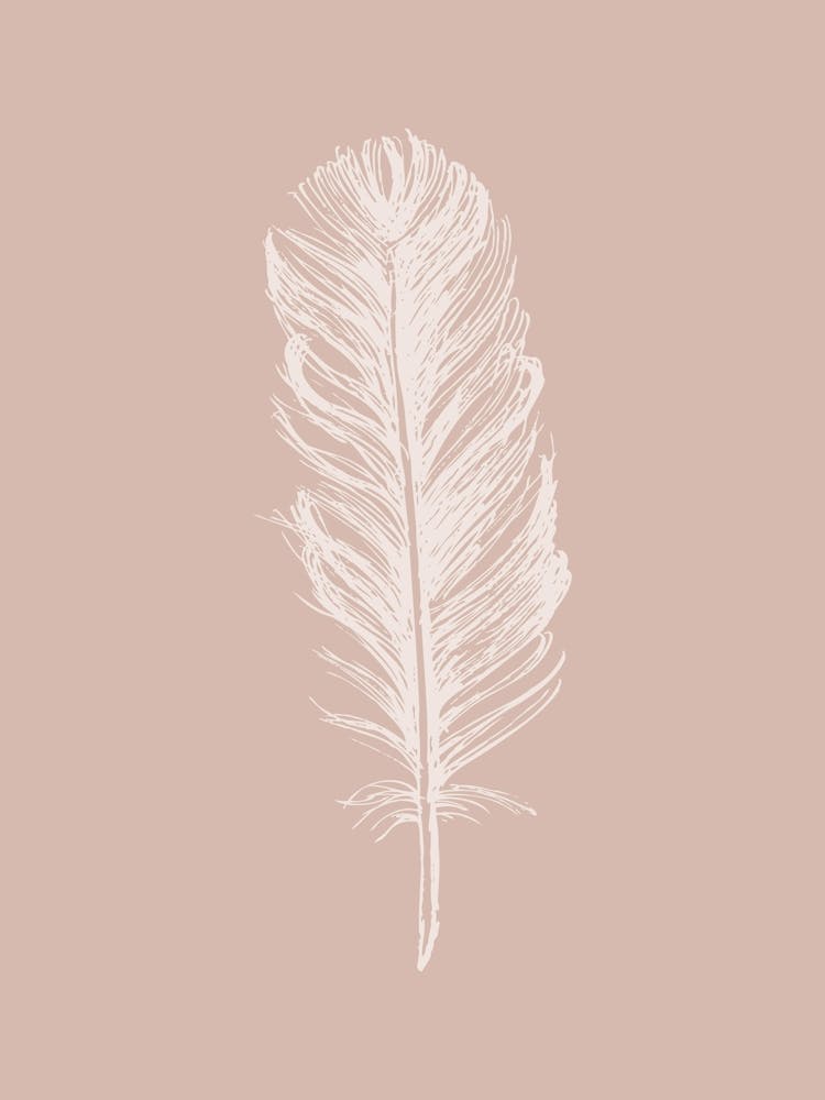 Impression Plume Rose 2