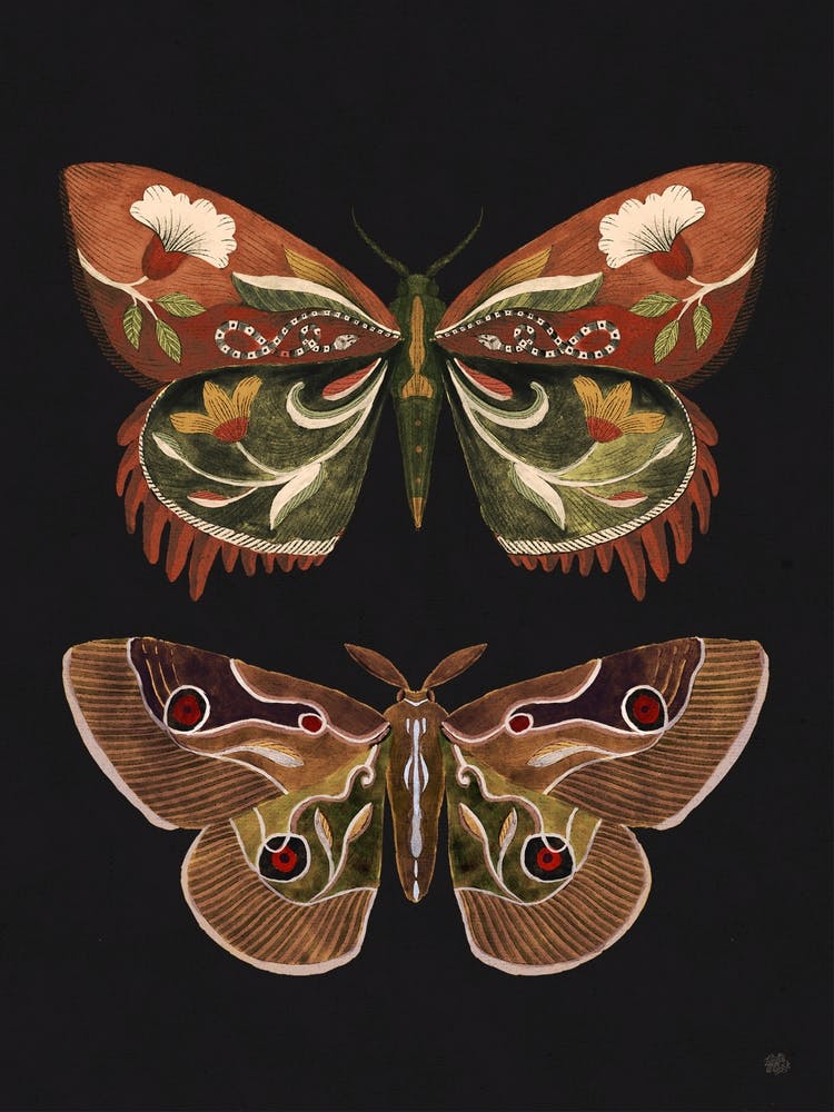 Two Moths