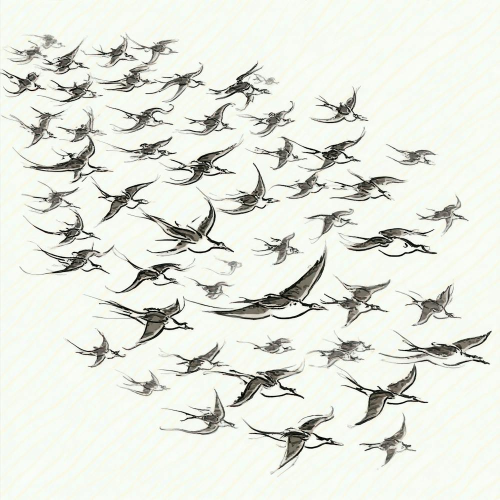 Flock Of Birds 1