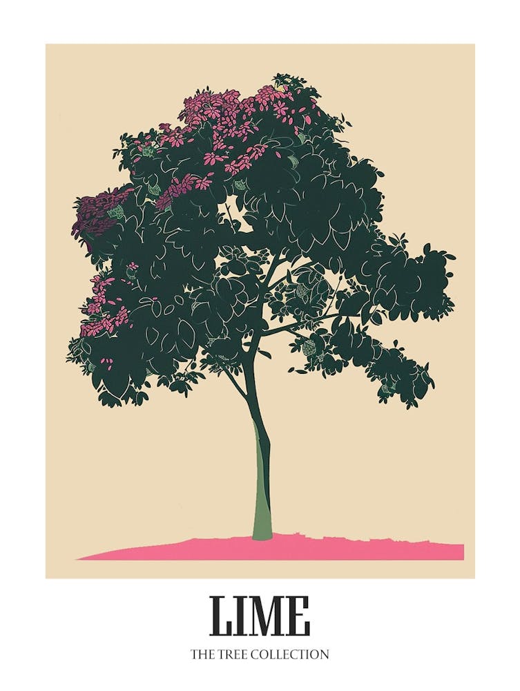 Lime Tree Colourful Illustration 1 Poster
