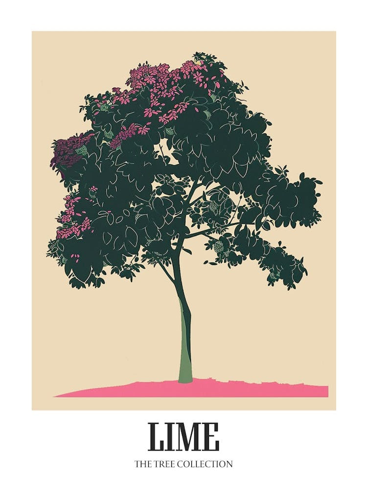 Lime Tree Colourful Illustration 1 Poster