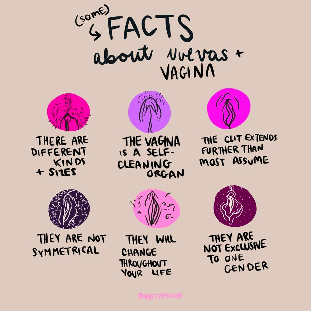 Vulva Facts