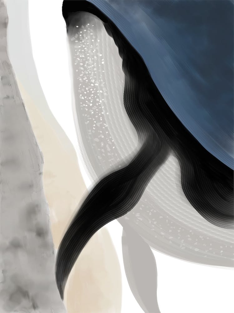 Baleine