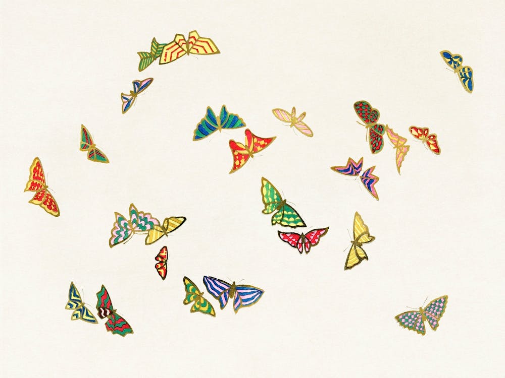 Vintage Butterfly, Cho Senshu (5)