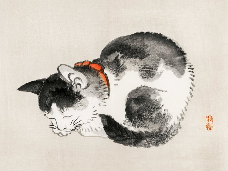 Schlafende Katze