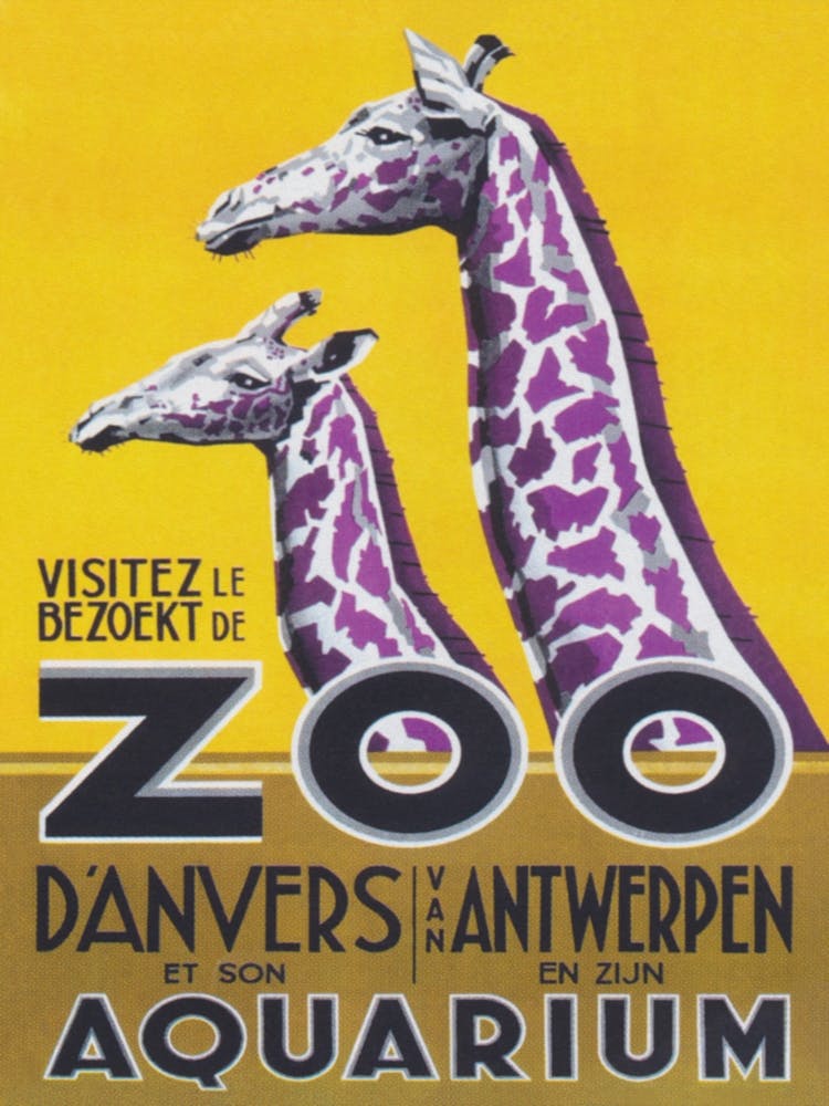 Giraffes at Antwerp Belgium Zoo Vintage Poster