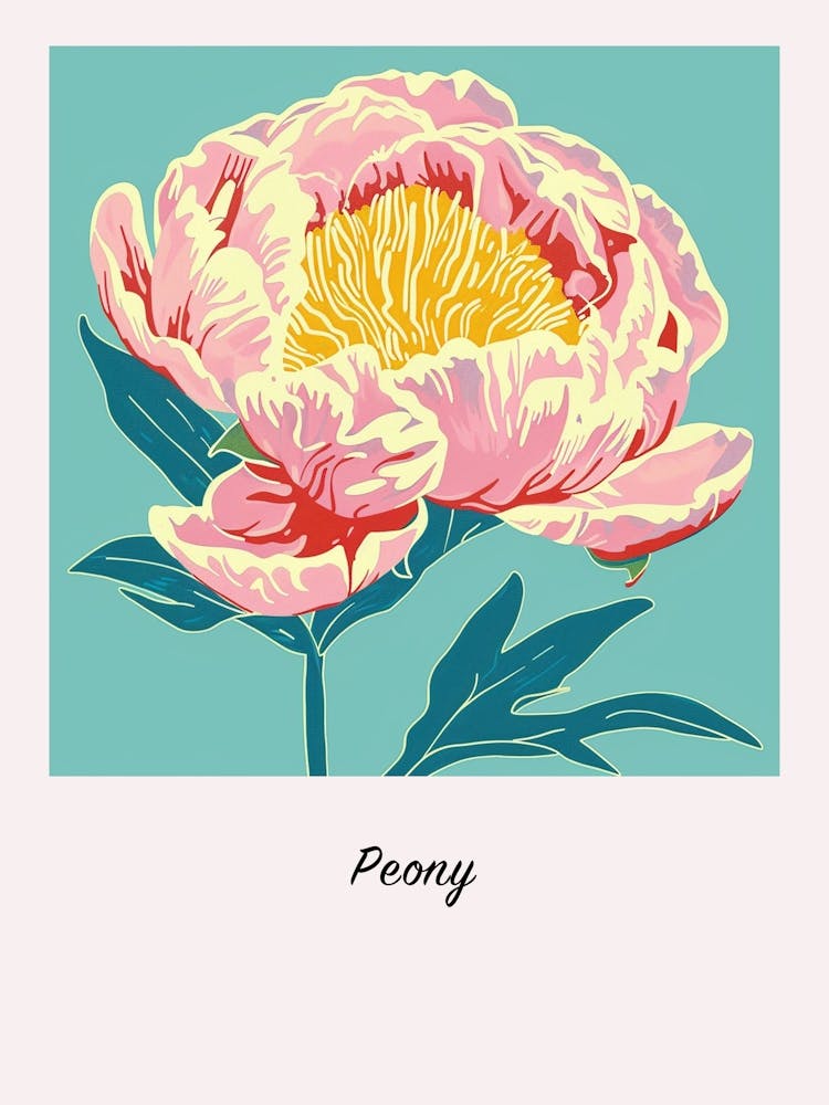 Peony 2 Square Flower Illustration Poster