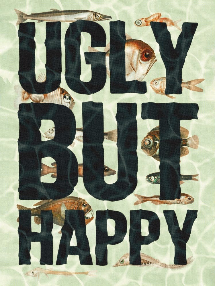 Ugly But Happy