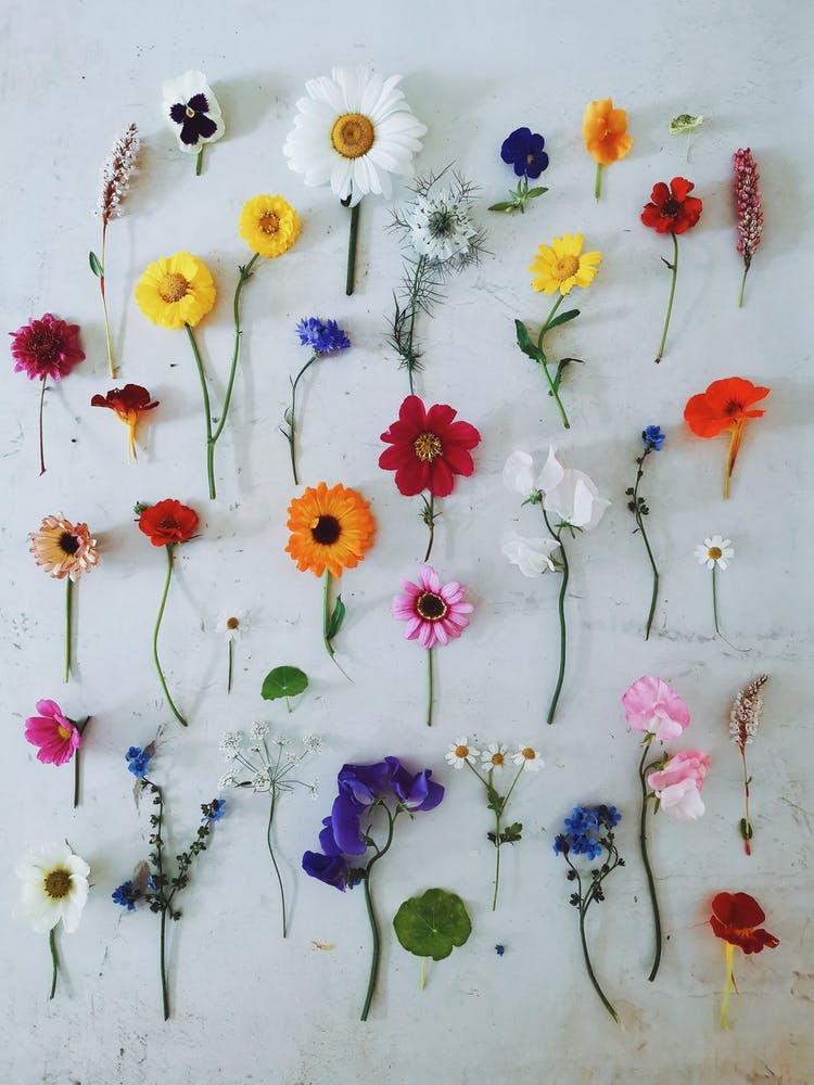 Floral Art
