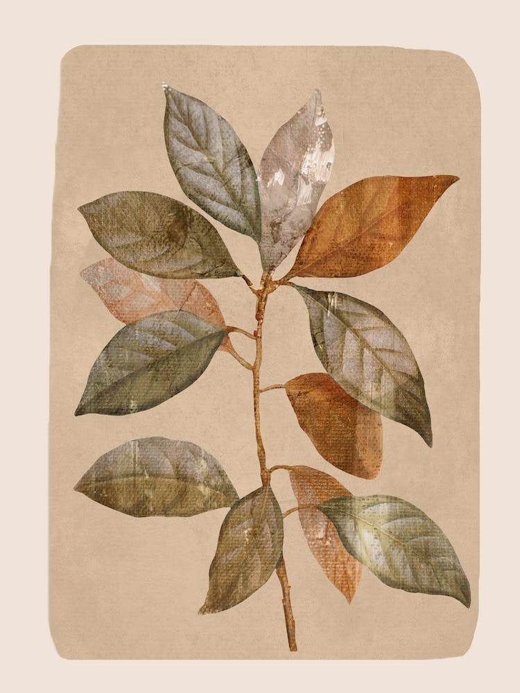 Abstract Minimal Plant Leaf 2