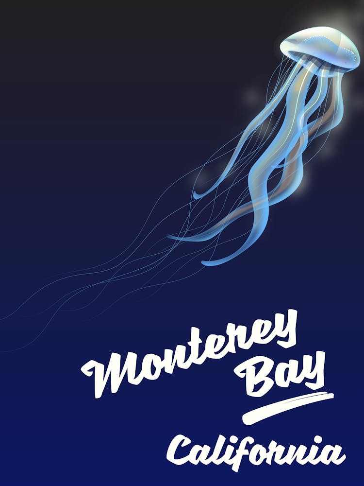 Monterey Bay California 1