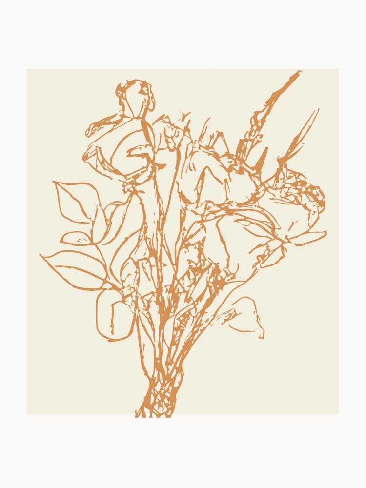 Botanica line no 63