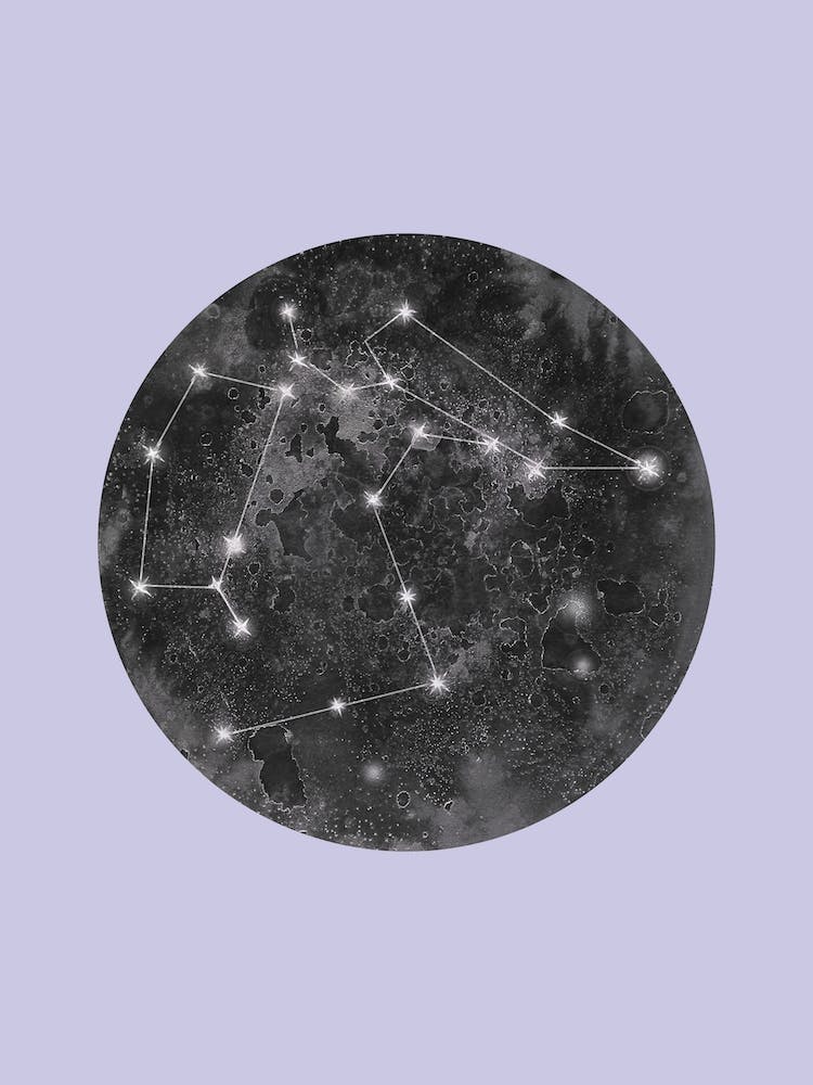 Constellation Lilac
