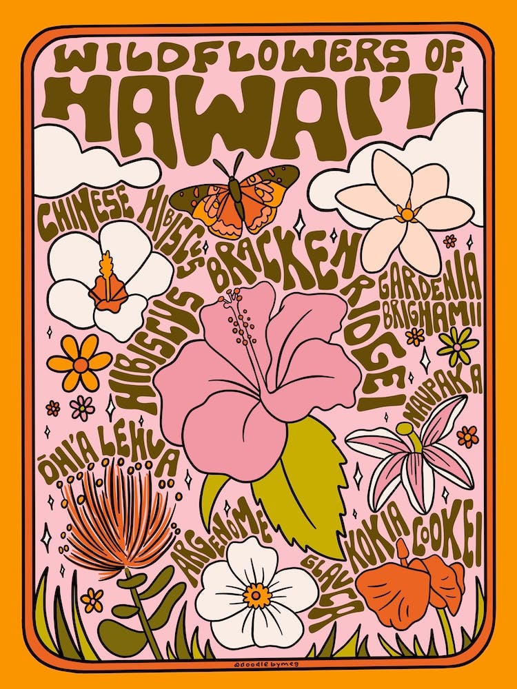 Hawaii Wildflowers
