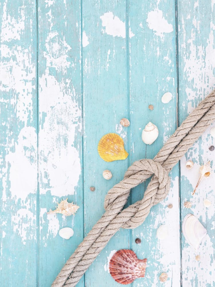 Rope And Seashells