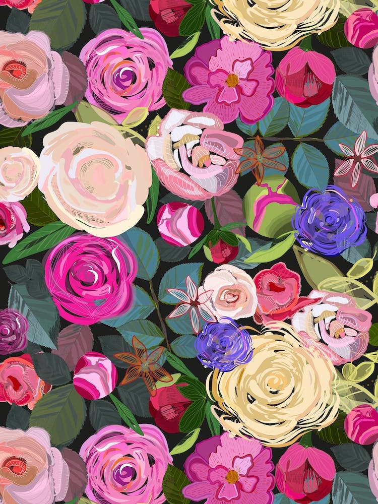 Colorful Roses