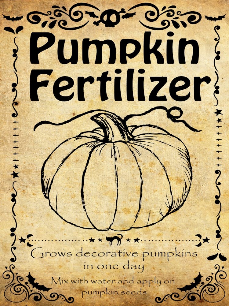 Pumpkin Fertilizer