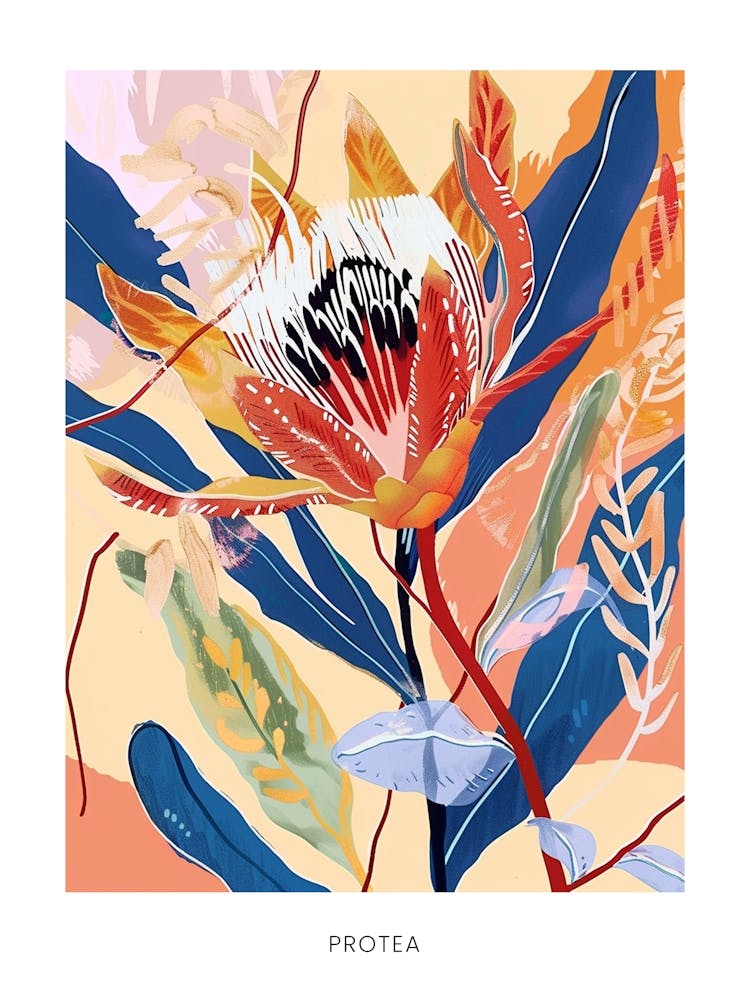 Bunte Blumen Illustration Poster Protea 1