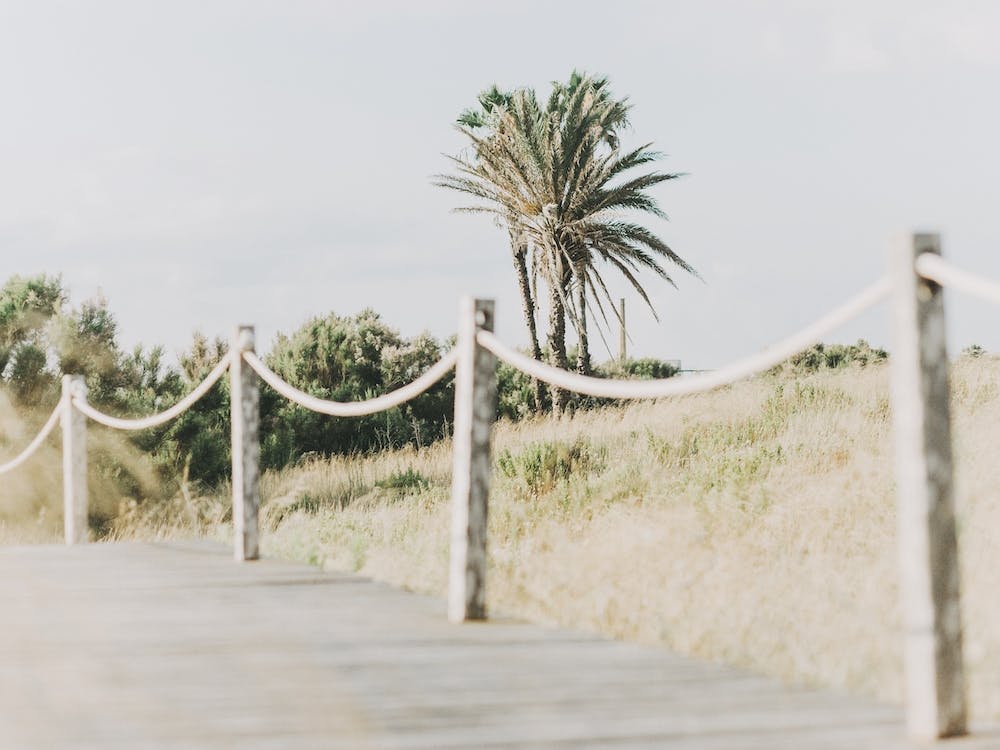 Wooden Boardwalk To Beach