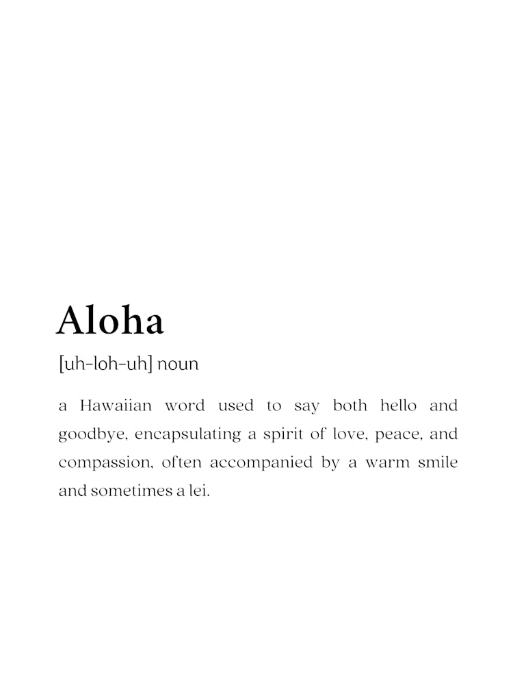 Aloha Funny Definition Wall