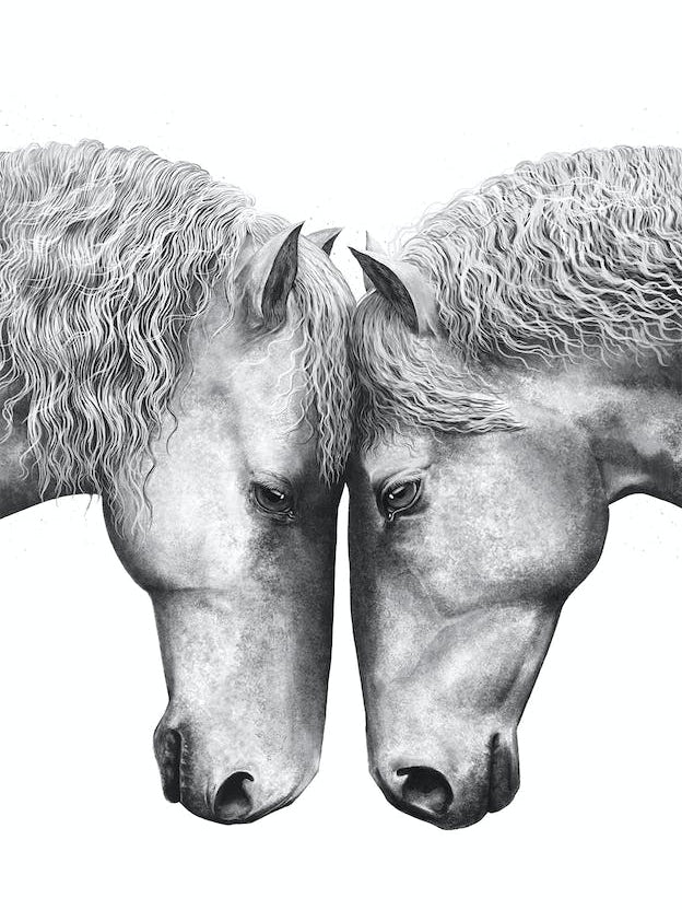 Horses Love
