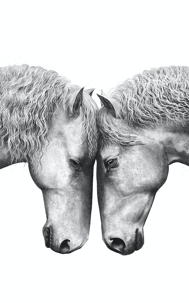 Horses Love