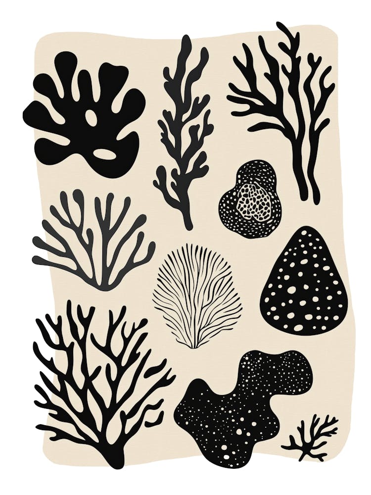 Coral Collection (Black)