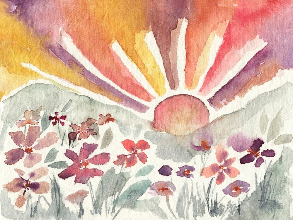 Colorful Sunset in Wildflowers Fields