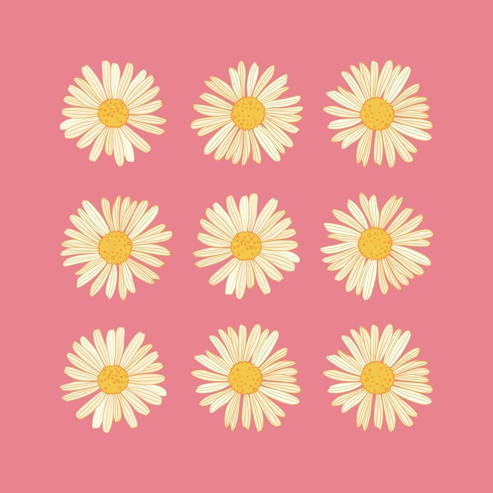 Daisy