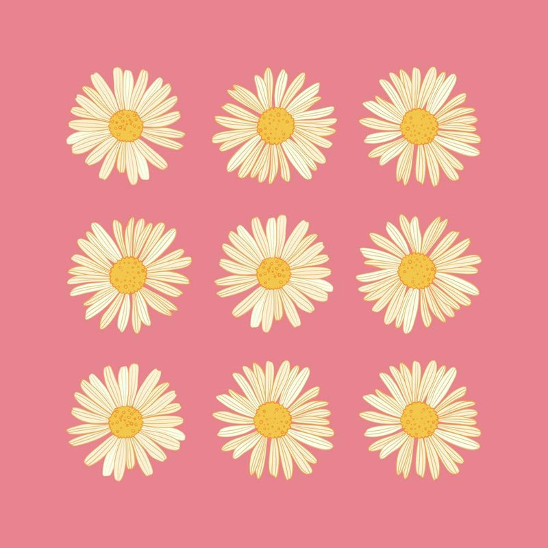 Daisy