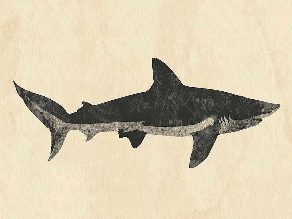Wobbegong Shark Silhouette 3