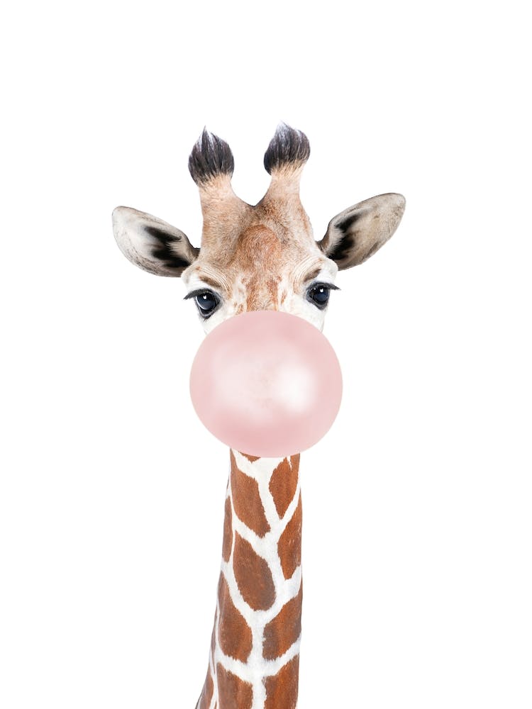 Bubble Gum Giraffe