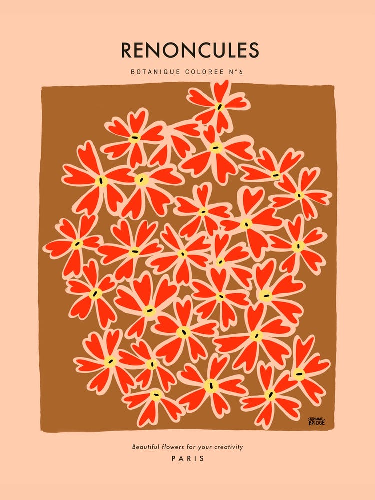 Botanic Collection - Peach Fuzz - Renoncules Buttercups