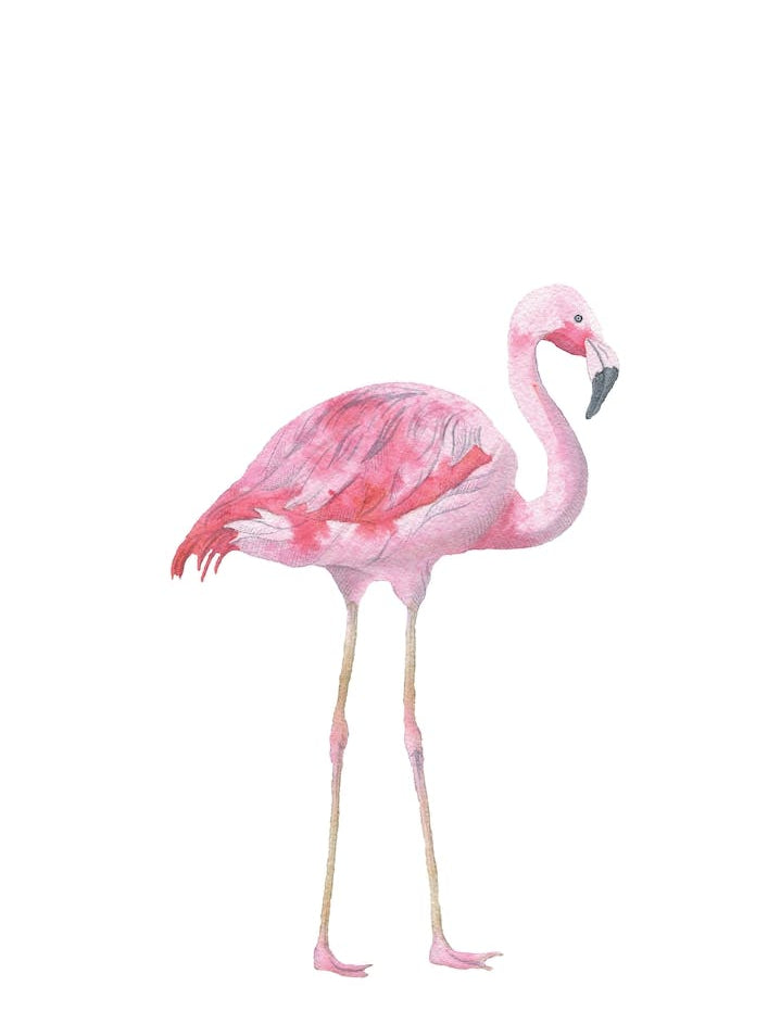Pink Watercolour Flamingo