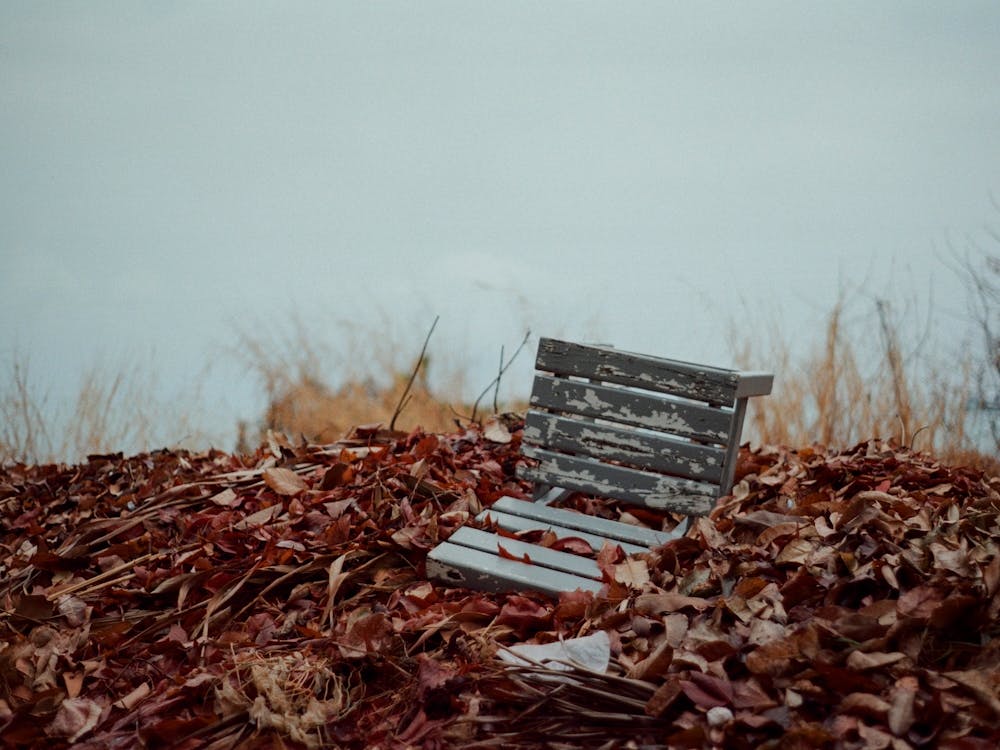 Autumn Chair