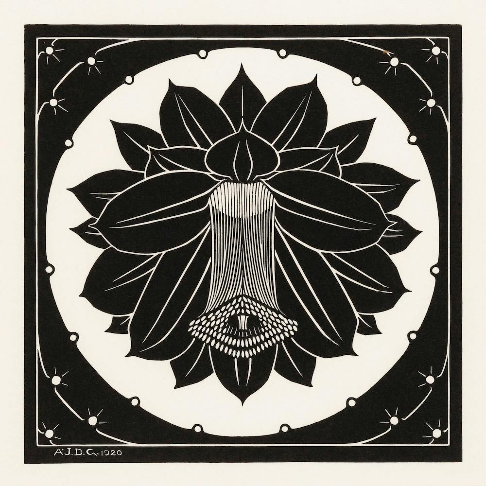 Flower, Julie De Graag