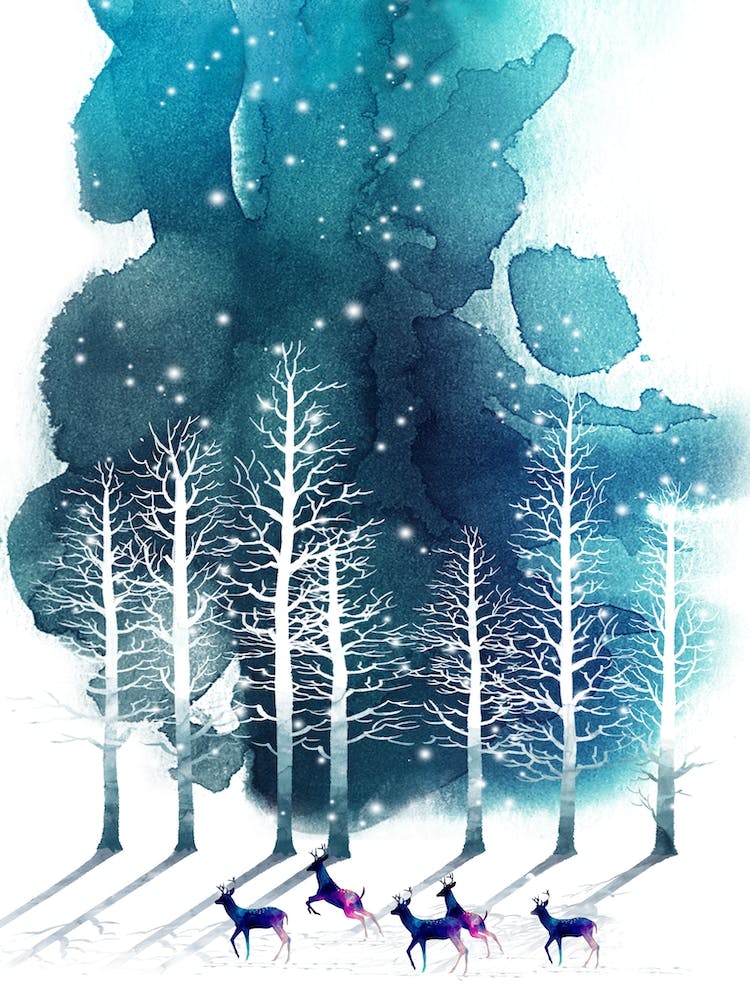 Winter Night 2