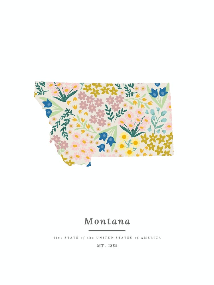 Montana | Wildflower Mix